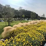 Pri Piratski Macki - At The Pirate Cat - Dal Gatto Pirata * Κόπερ