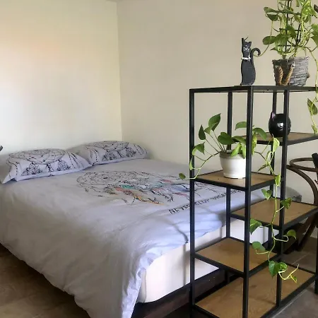 Pri Piratski Macki - At The Pirate Cat - Dal Gatto Pirata Koper