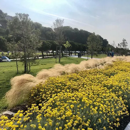 Pri Piratski Macki - At The Pirate Cat - Dal Gatto Pirata * Koper