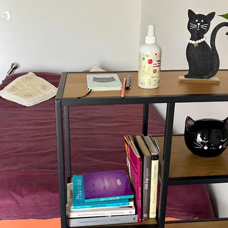 Pri Piratski Macki - At The Pirate Cat - Dal Gatto Pirata Koper