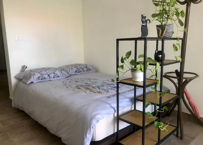 Pri Piratski Macki - At The Pirate Cat - Dal Gatto Pirata Κόπερ