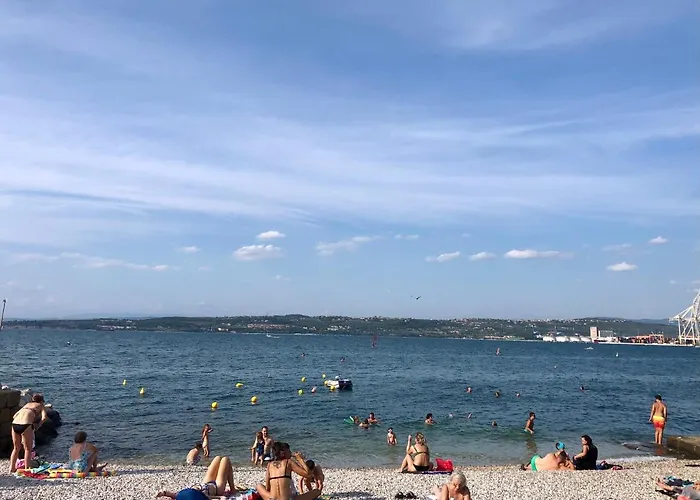 Pri Piratski Macki - At The Pirate Cat - Dal Gatto Pirata * Κόπερ