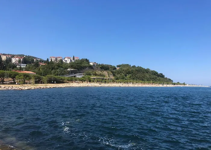 Pri Piratski Macki - At The Pirate Cat - Dal Gatto Pirata 科佩尔