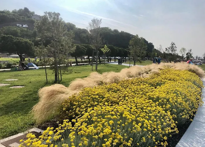 Pri Piratski Macki - At The Pirate Cat - Dal Gatto Pirata * Κόπερ