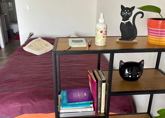 Pri Piratski Macki - At The Pirate Cat - Dal Gatto Pirata 코페르