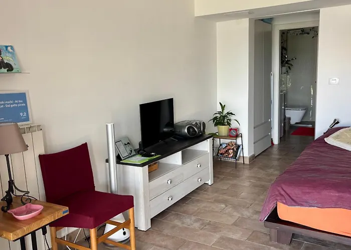 Διαμέρισμα Pri Piratski Macki - At The Pirate Cat - Dal Gatto Pirata Κόπερ