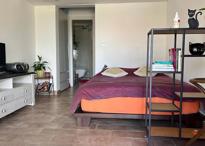 Pri Piratski Macki - At The Pirate Cat - Dal Gatto Pirata * 코페르